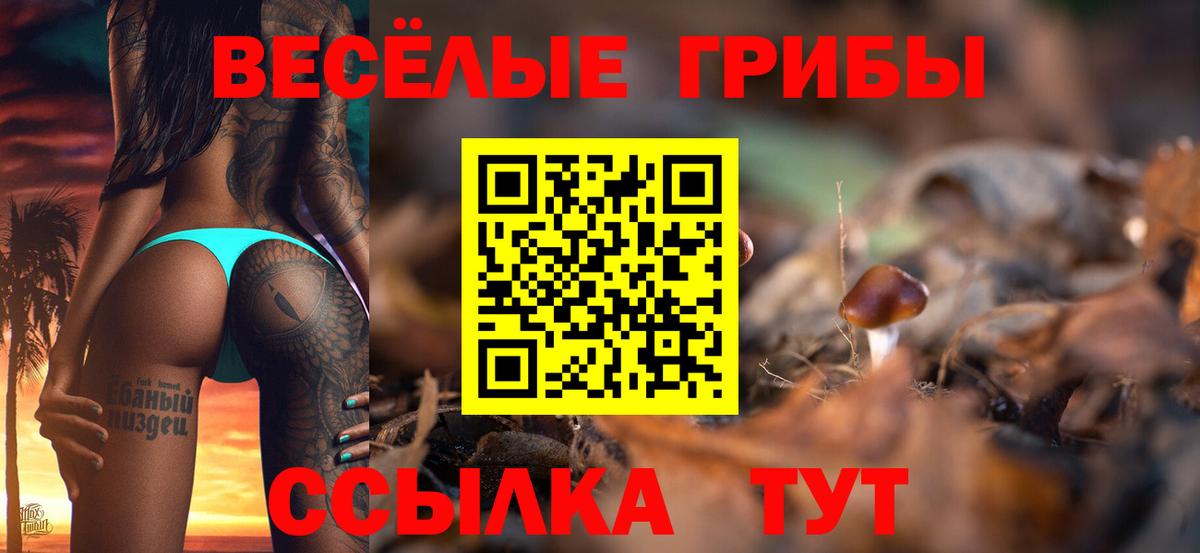Черняховск  Галлюциногенные грибы MAGIC MUSHROOMS  Вход с VPN 